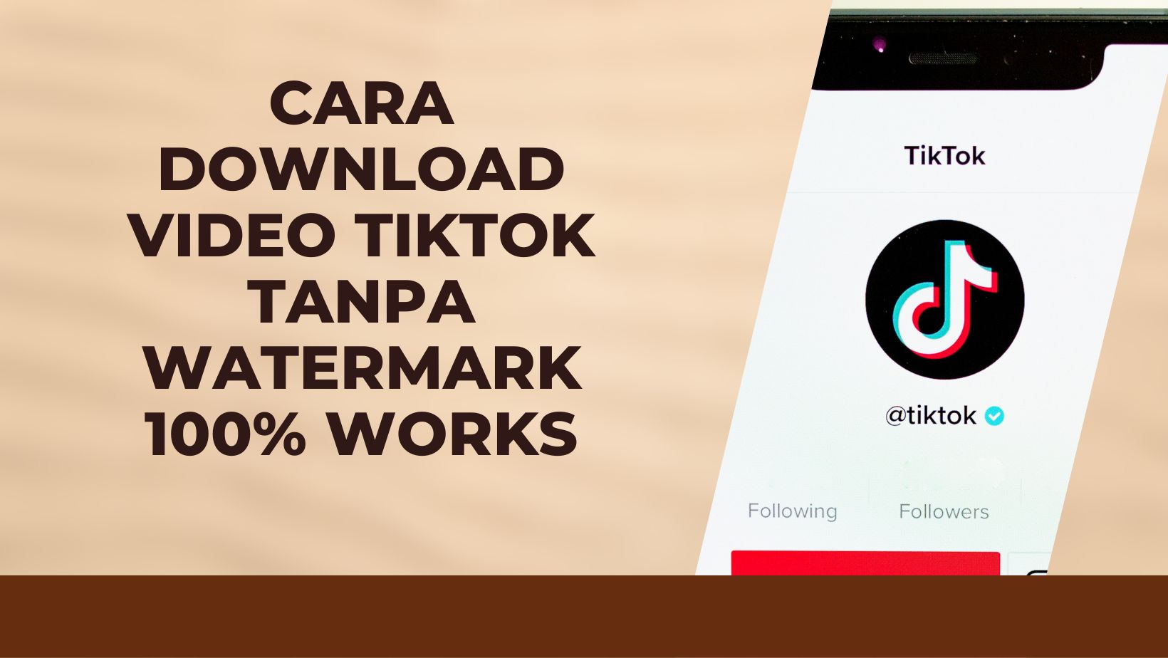 Cara Download Video TikTok Tanpa Watermark 100% Works